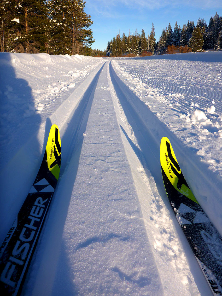 Buying cross on sale country skis