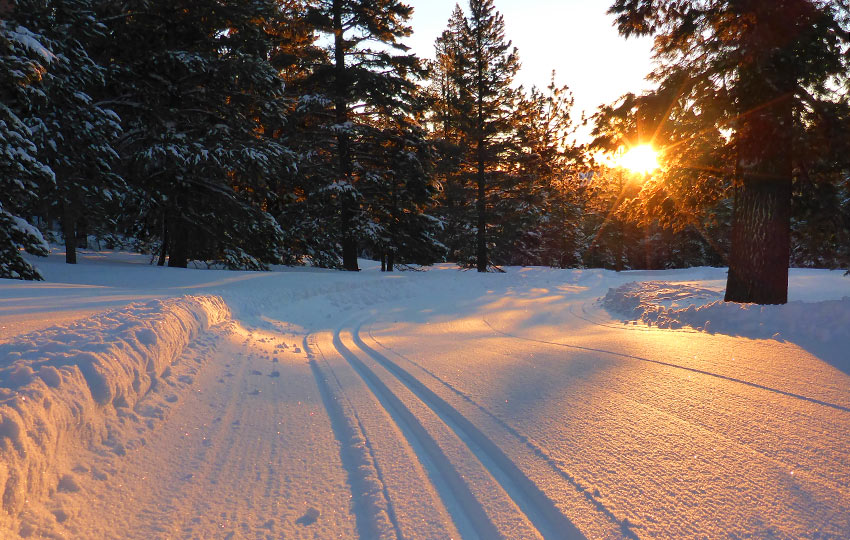 tahoetrailguide.com