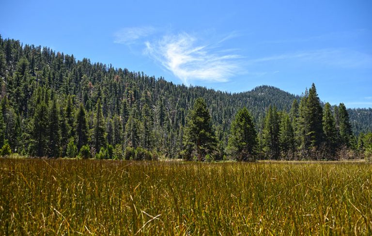 Hiking Meeks Creek Falls (via SR 89 at Meeks Creek in West Tahoe ...