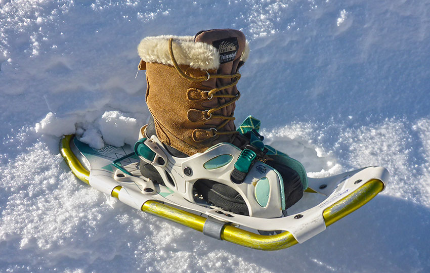 Crossblades Snowshoe System - it can everything! 