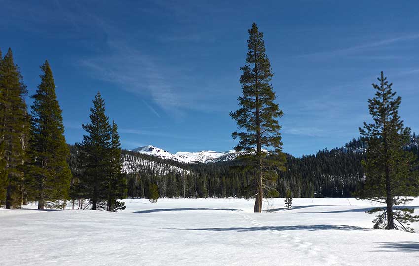 View of Stevens Peak from snow-covered Big Meadow Trail