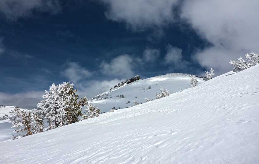 Red Lake Peak and wind-scoured snow