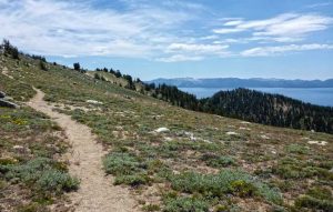 Tahoe Rim Trail above Marlette Lake with Lake Tahoe in the distance