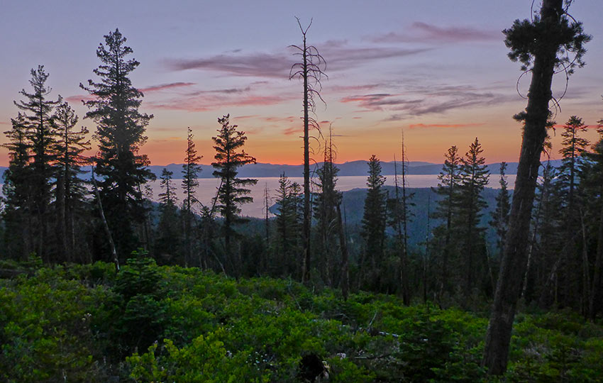 Saturated sunset over Lake Tahoe with silhouetted trees