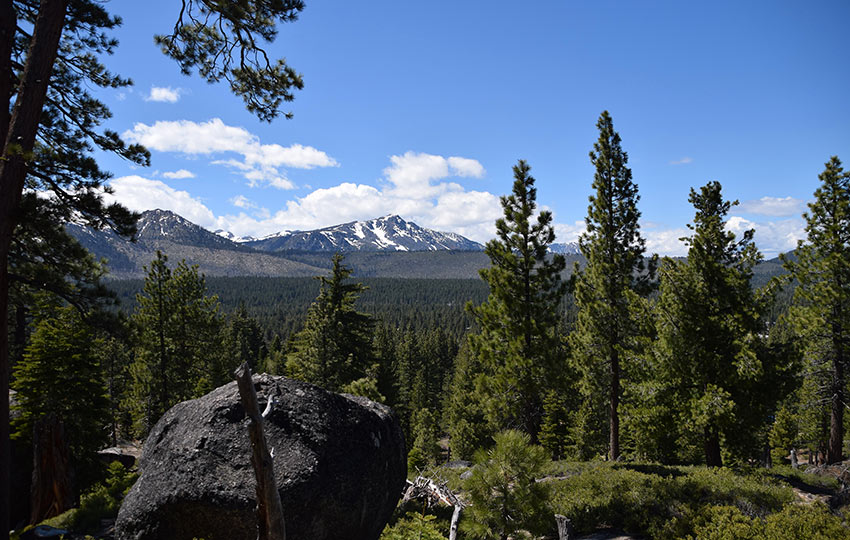 Hiking Cowboy Hat Hill affords you views of Mount Tallac