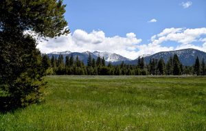 View of snowy Freel Peak from Washoe Meadows State Park
