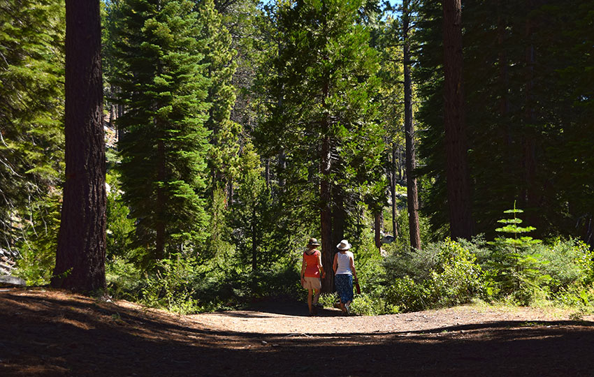 Two women hiking along the Meek's Creek Trail