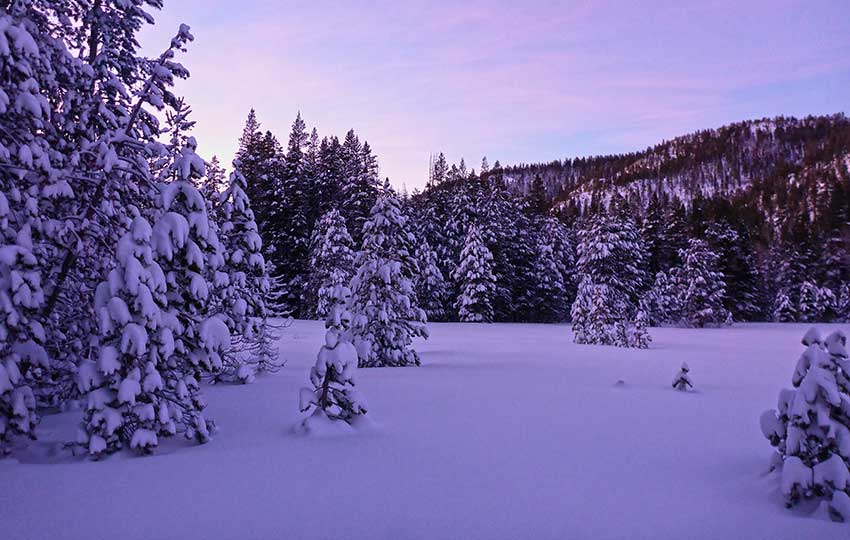 A winter wonderland with a purple hue at dusk