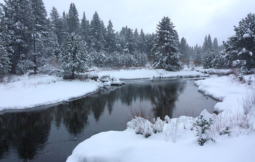 Snow banks along a river running through a snowy forest