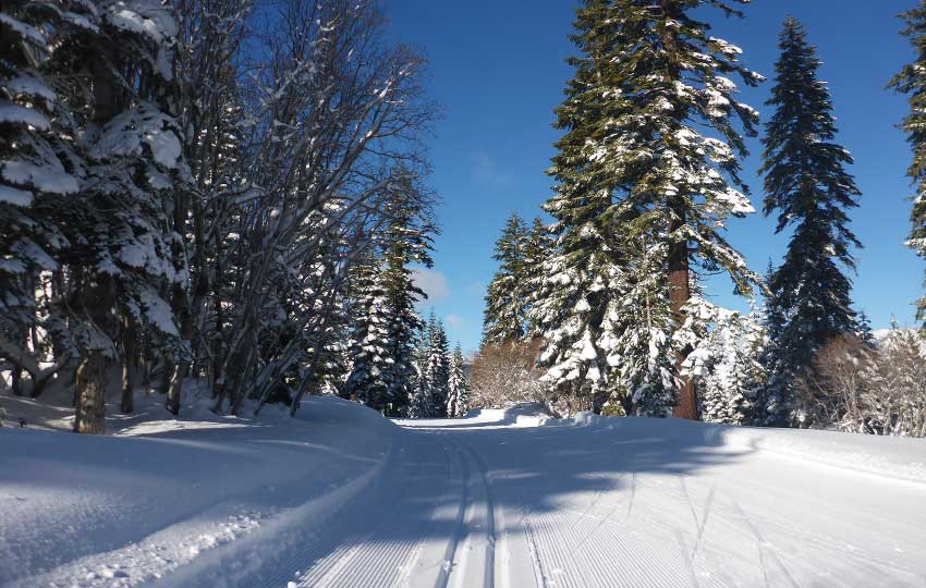Blue skies and beautifully groomed cross-country ski tracks