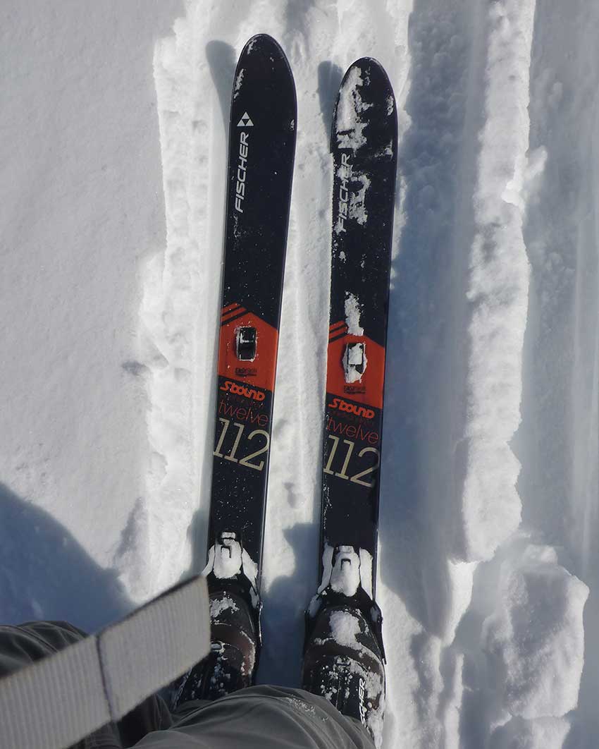 Cross-country skis in the snow