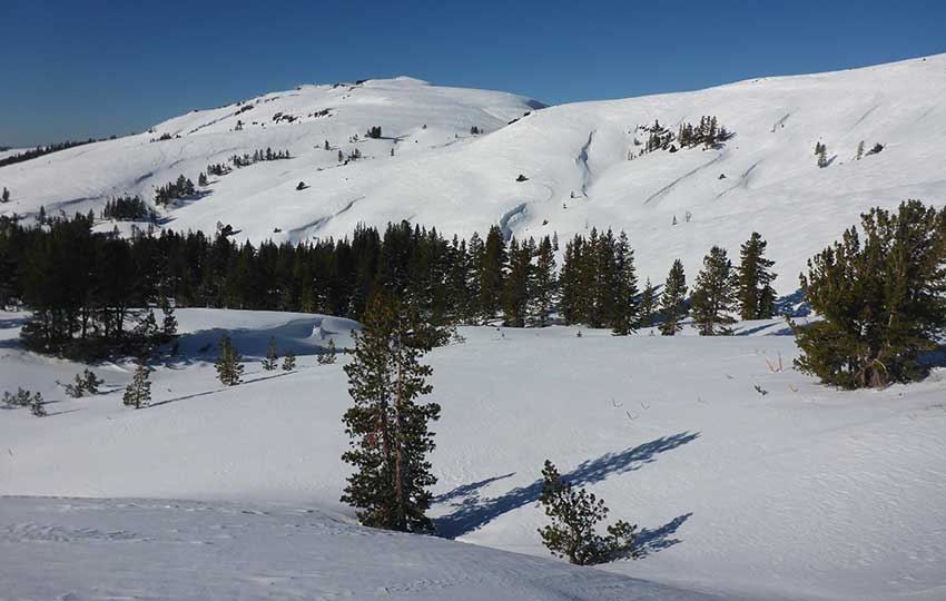 Snow covered mountains with evergreen trees