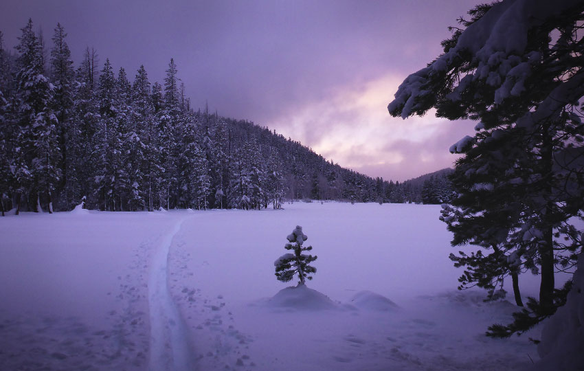 Purple skies in the evening on a snow-covered lake surrounded by the forest