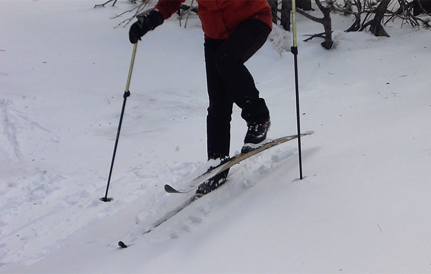 Cross-country skier using the side-step technique up a hill