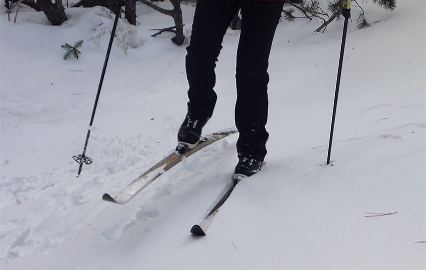 How to Start Backcountry Skiing: A Step-By-Step GuidePowder7 Lift Line