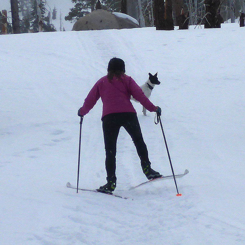 Cross-country skier using a wide herringbone technique up a hill