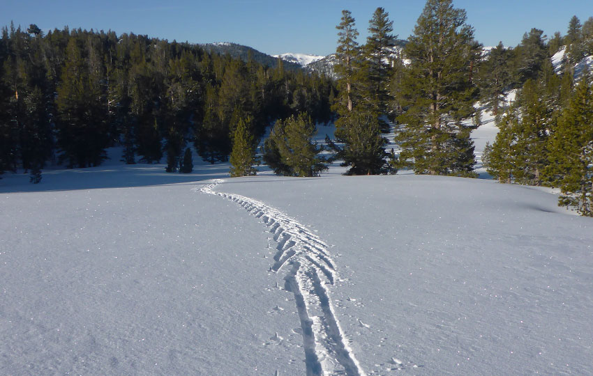 Herringbone to diagonal striding on cross-country skis