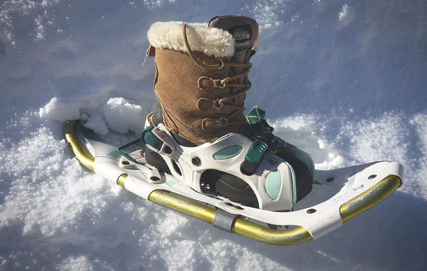Winter boot in a snowshoe