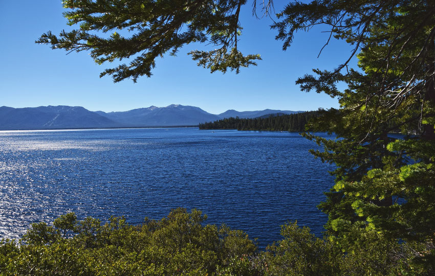 Blue skies, blue lake, and green trees and bushes