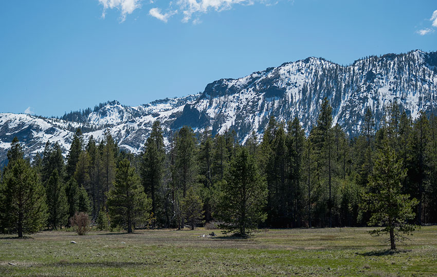 Snowy mountains and a verdant meadow