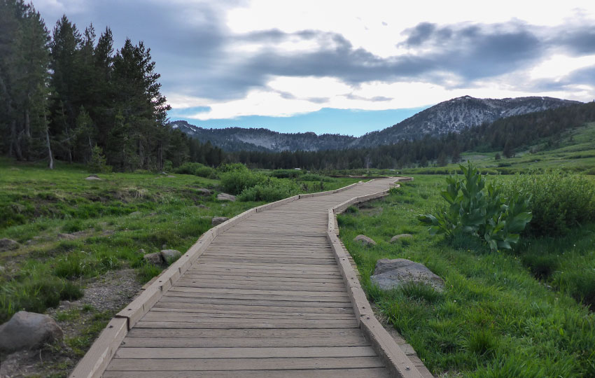 Wooden walkway through meadows and mountains