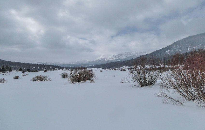 Snowy meadow and mountains in overcast sky