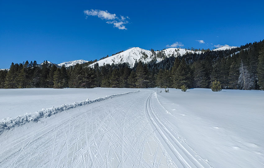 Blue skies at a groomed cross-country ski resort