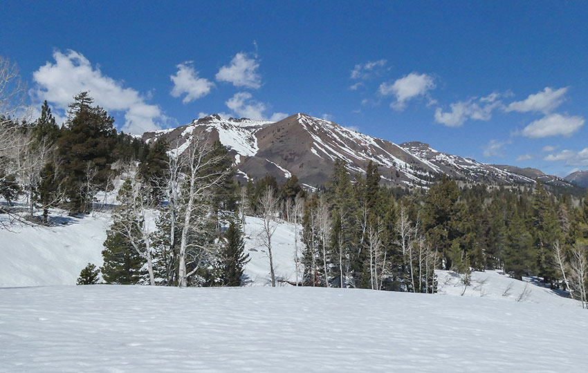 Snow field and sandy moutain