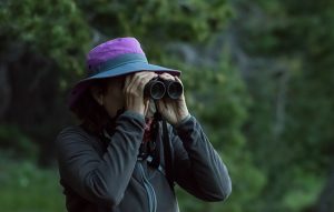 Birder looking through binoculars in the forest