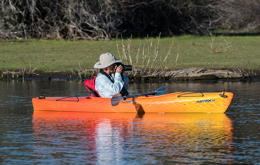 Birder in a kayak taking photos of birds