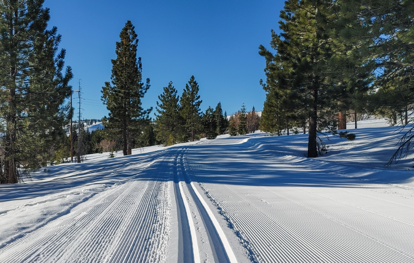Fresh groomed cross-country ski tracks in the forest
