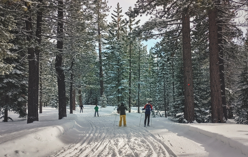 Cross-country ski instructor and students in a snowy forest